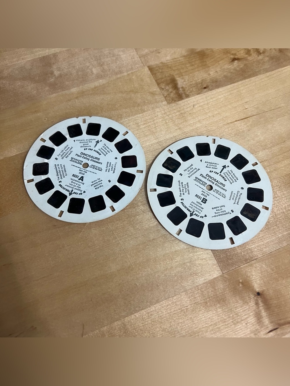 Two Vintage View-Master Dinosaur Reels Classic 1960s "Dinosaurs" Series (A&B)